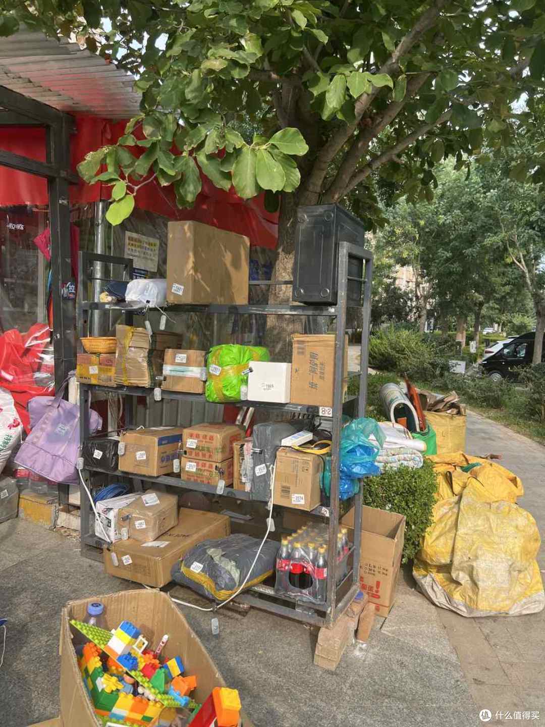 网购这7样都是我吃过亏的,树苗亏得最狠