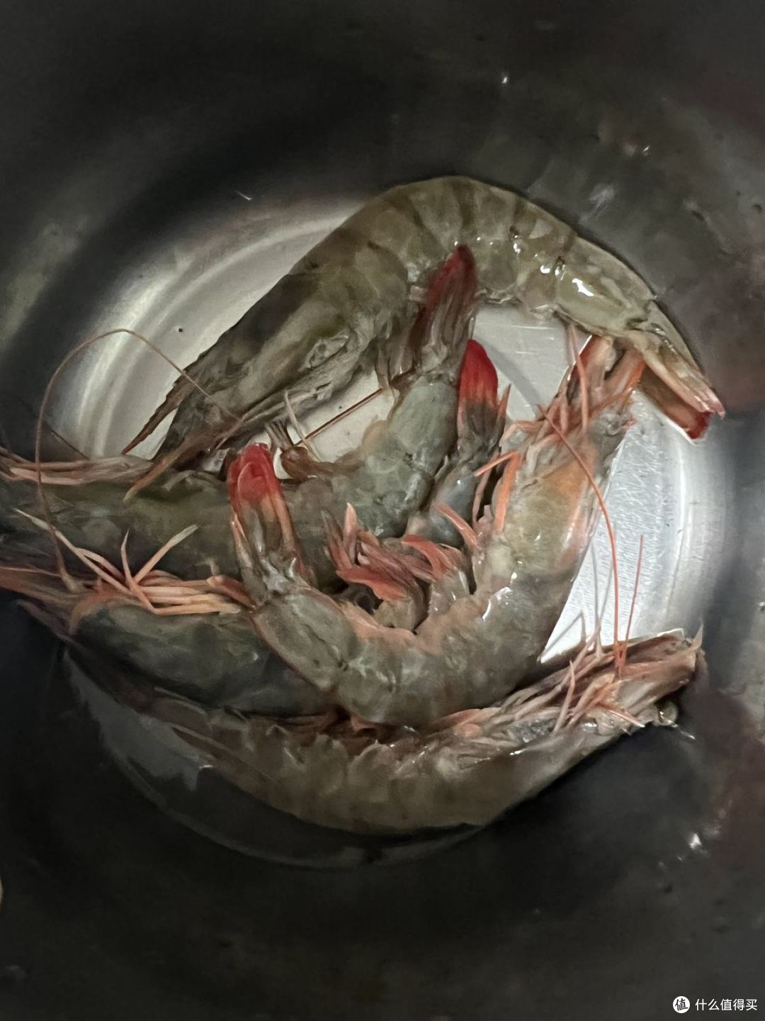 网购这7样都是我吃过亏的,树苗亏得最狠