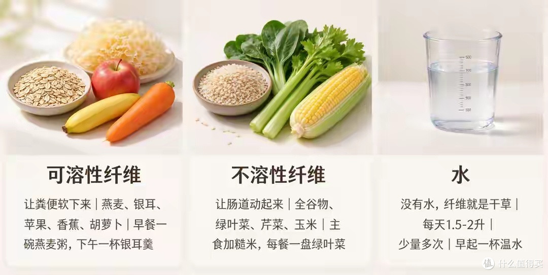 改善肠道功能的日常饮食策略