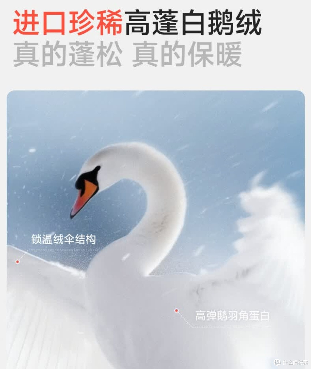 兼顾保暖与颜值的冬装