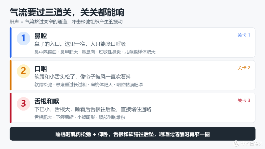 1.76 亿中国人夜里在缺氧：打鼾的 3 个堵塞点，你在哪一层？