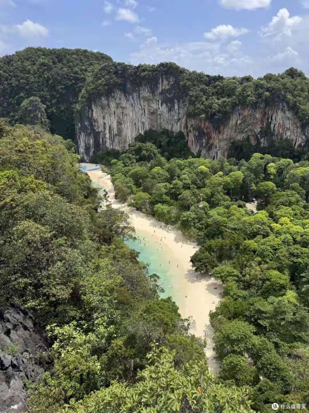 9款鱼油的成分路线与标签口径,逐项看清