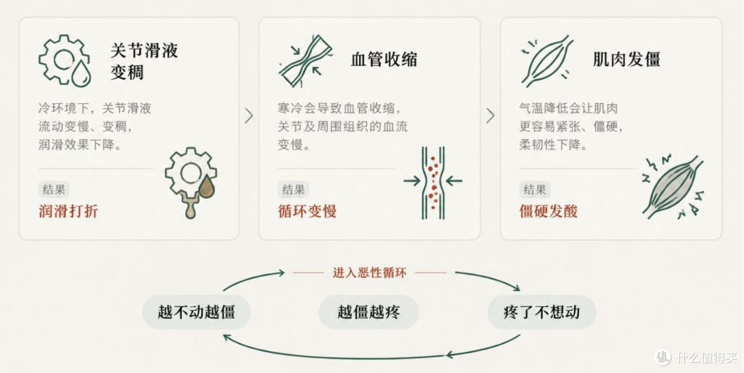 膝盖疼就是"老寒腿"吗？护膝先避开 5 个坑，再做对 5 件事