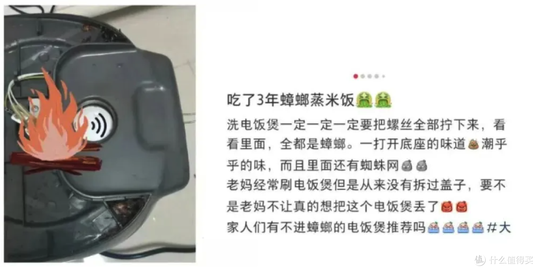 网友惊呼“吃了3年蟑螂蒸米饭”,电饭煲只洗内胆?这4个位置一定要及时清洗!