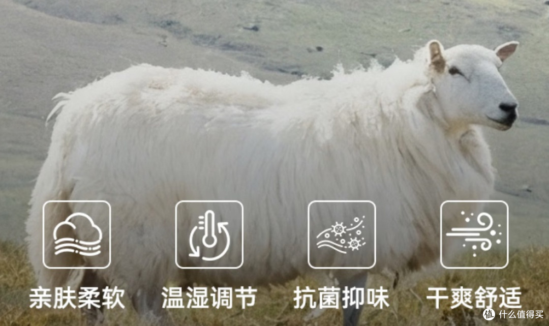 出汗不臭还恒温！三款高性价比美利奴羊毛长袖推荐，秋冬户外刚需