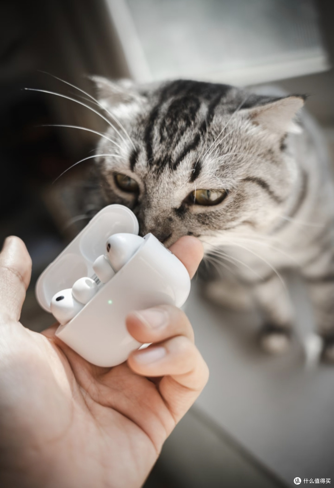放弃AirPods Pro3!三年Pro2老用户真实深度测评