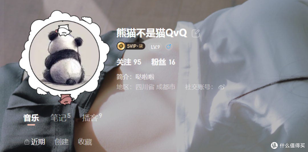 网易云会员