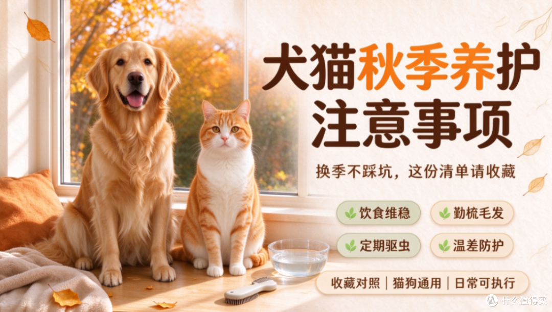 犬猫秋季养护注意事项,新手铲屎官建议收藏