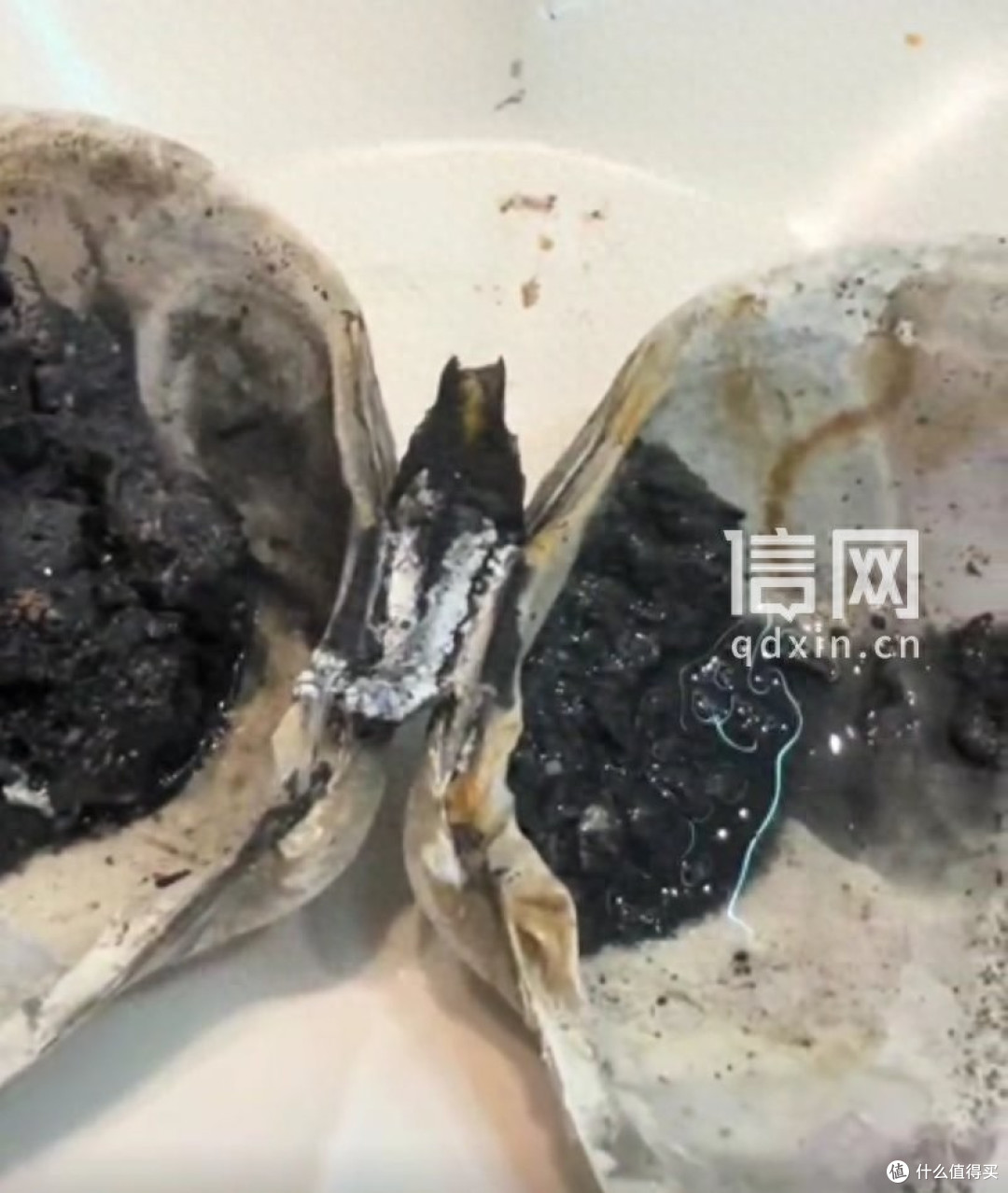 杭州一海底捞“天鹅蛋”煮完后变黑 所谓“天鹅蛋”实为贝类海鲜