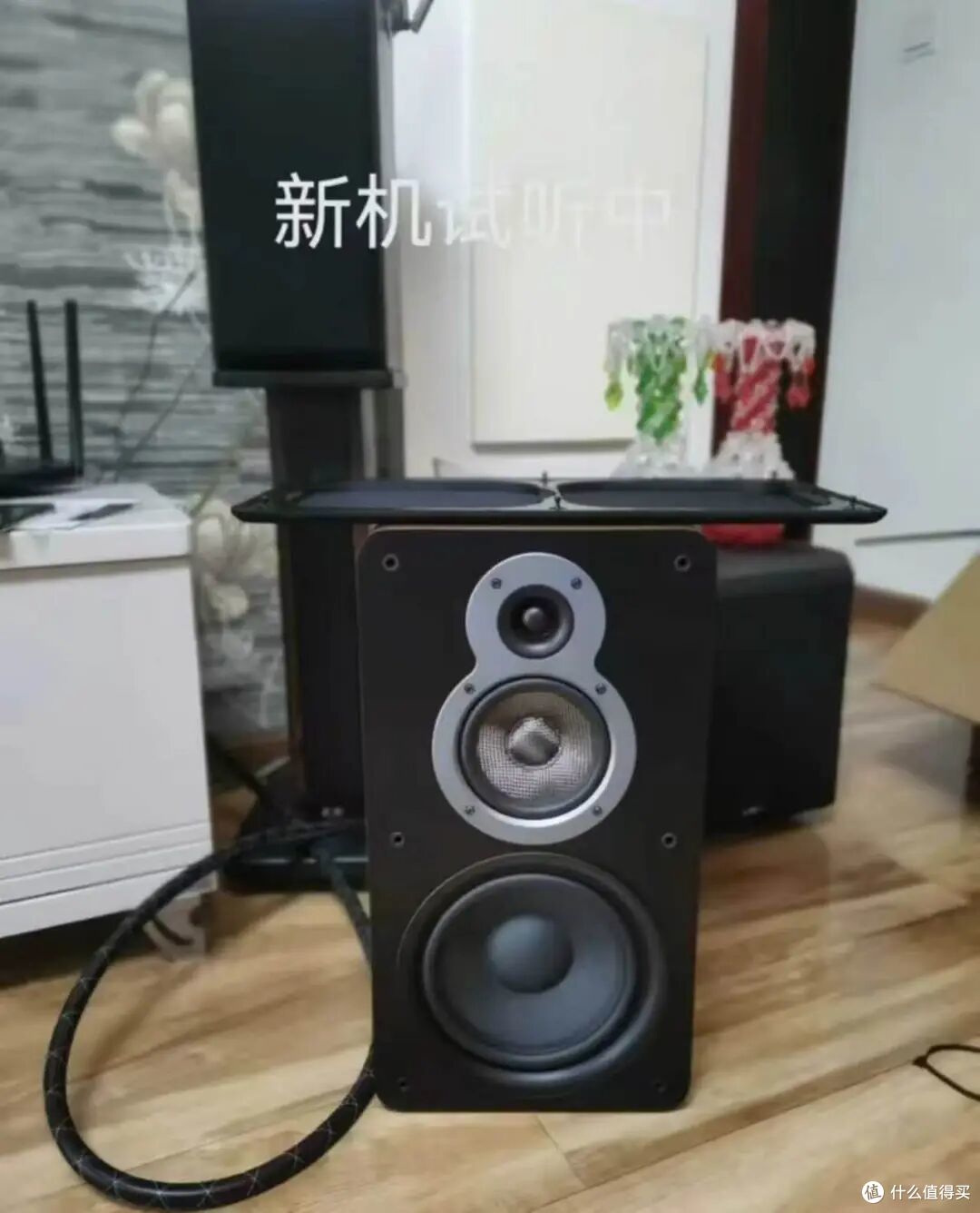 何时发烧都不晚！这对宝藏组合带我入坑