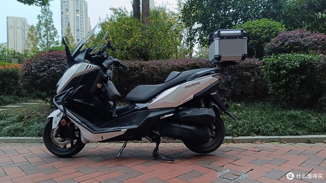 双11买250大踏板不踩坑！巡弋车主实测，选车算账谈价一次说清