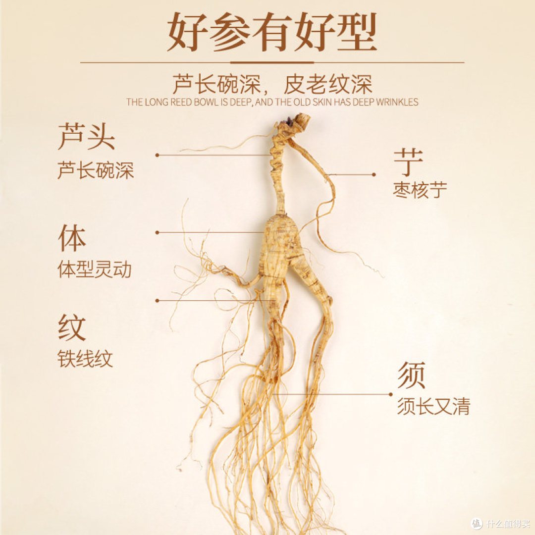 余仁生长白山林下山参整支礼盒｜长白山林下参，送礼滋补两用