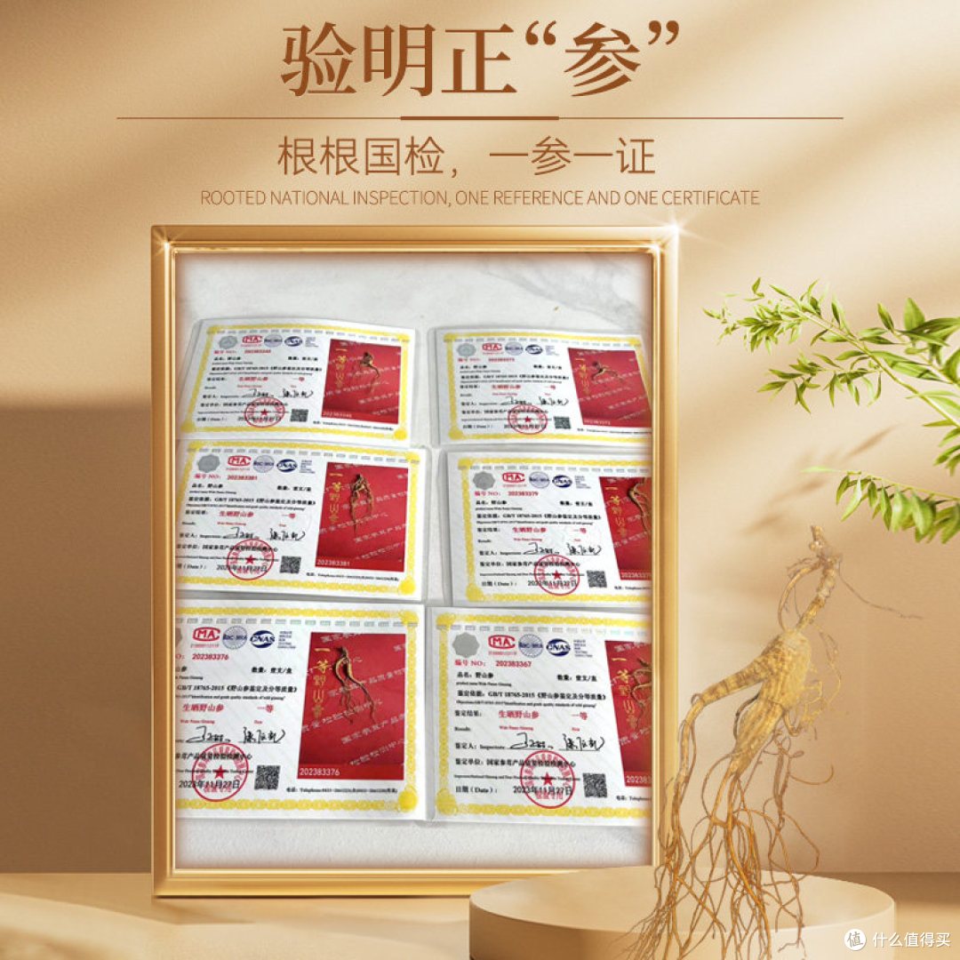余仁生长白山林下山参整支礼盒｜长白山林下参，送礼滋补两用