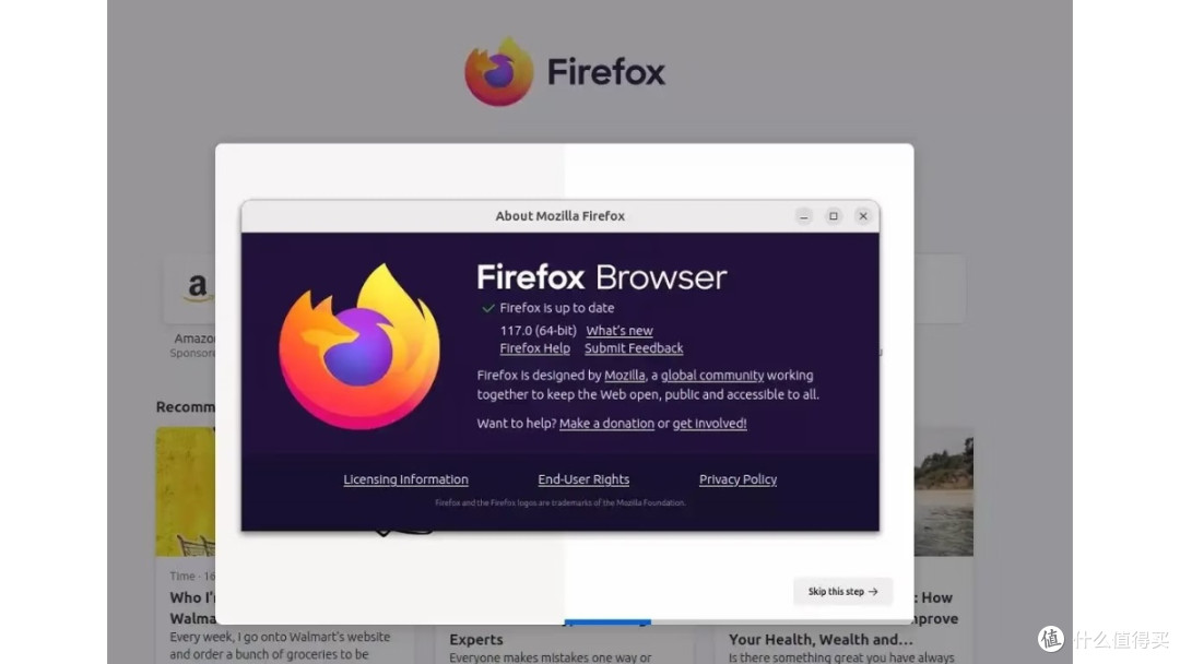 上网自由|Firefox,我的长期主力浏览器