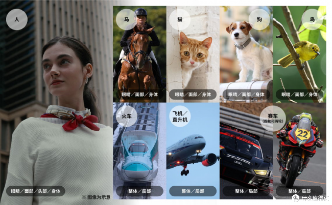 2026活动纪实机型选购指南：主体追踪稳、视频照片都出片的全画幅