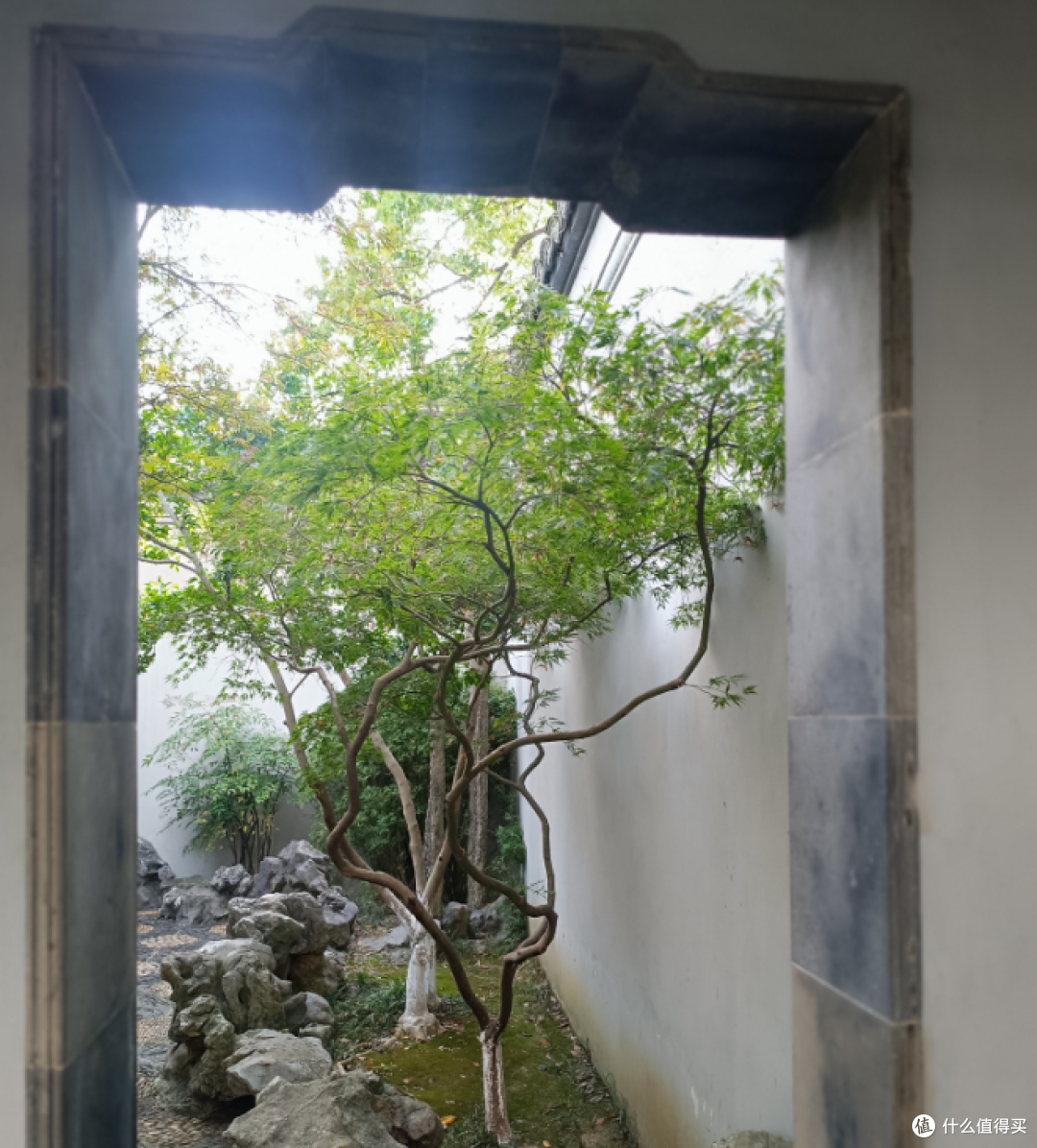 在苏州园林，我被一扇窗留住了脚步
