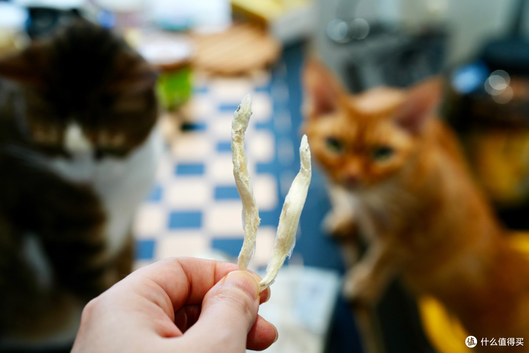 猫零食别乱买！双11选购攻略：口味功能一次说透
