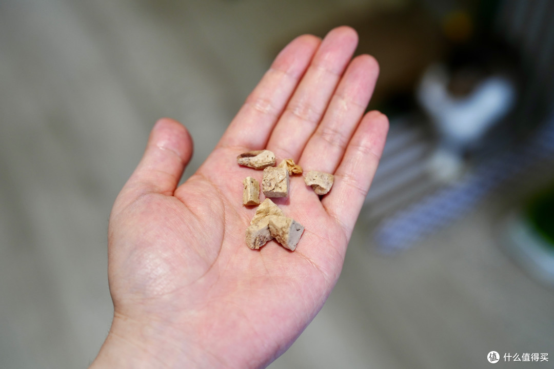猫零食别乱买！双11选购攻略：口味功能一次说透