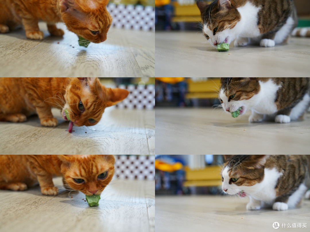 猫零食别乱买！双11选购攻略：口味功能一次说透