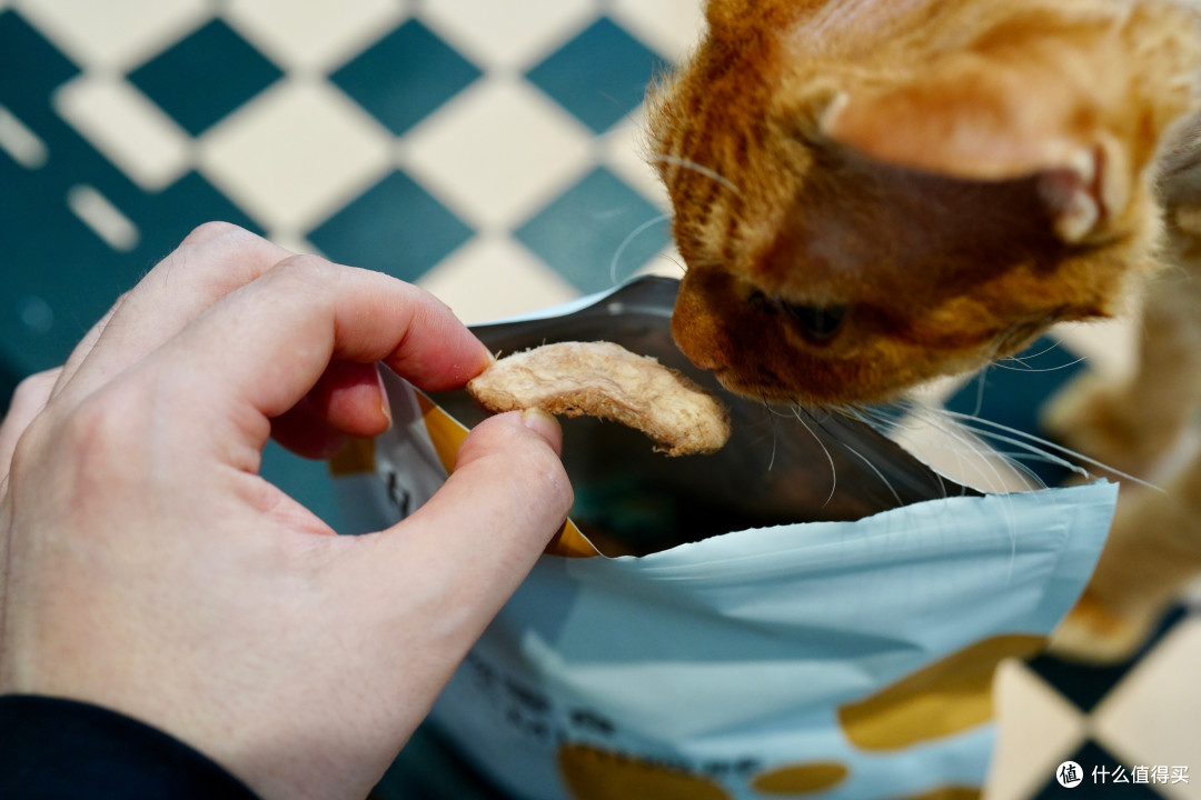 猫零食别乱买！双11选购攻略：口味功能一次说透