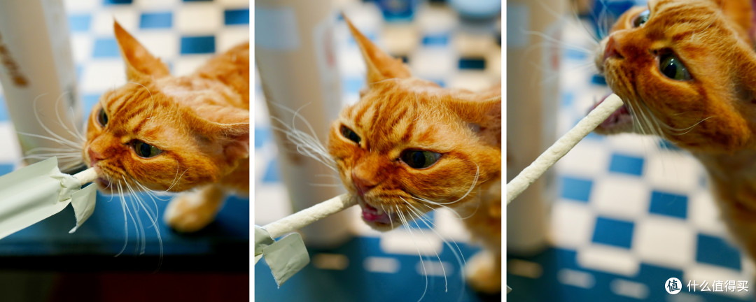 猫零食别乱买！双11选购攻略：口味功能一次说透