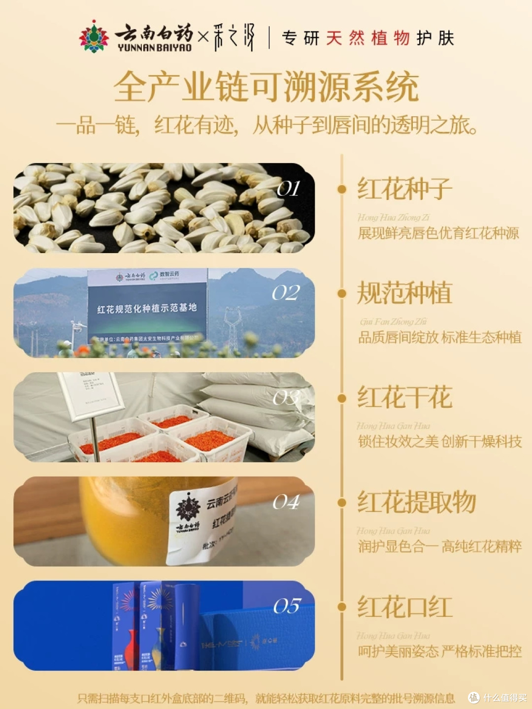 黄皮天菜!云南白药采之汲红花口红,边上色边养唇✨