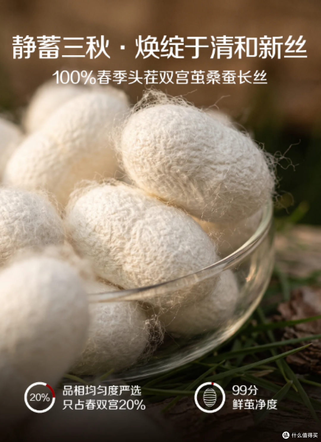 别再被低价蚕丝被割韭菜！天然蚕丝被全科普，看懂吊牌不踩坑