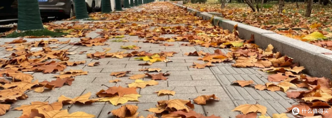 秋冬是进补的好时候，不是人人都适合！分清4种虚，补错反而难受