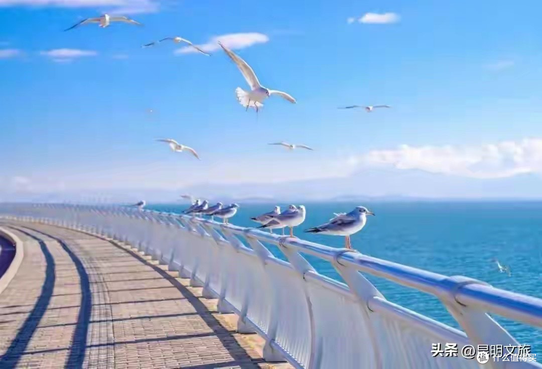 双11速发海参怎么挑？先厘清四个常见误解，再对照五类产品做判断