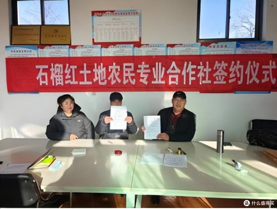 青山为卷绘新篇——记河北易县上白羊村的振兴蝶变之路