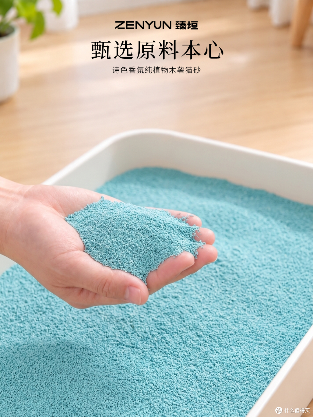 新潮人宠共生,臻垣用诗词猫砂诠释东方治愈美学