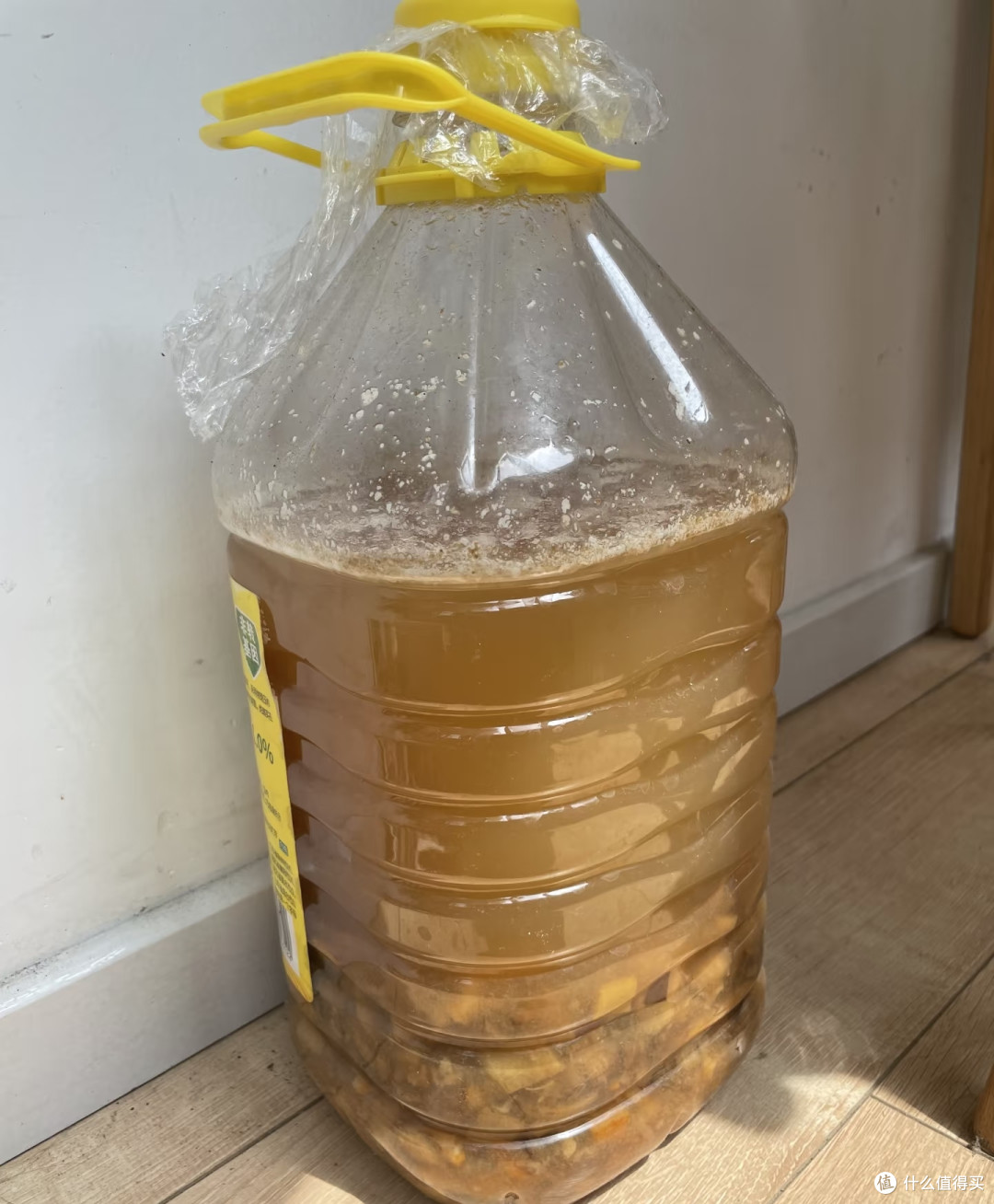 金枝玉叶最爱的肥料是它，在家就能做，不出半个月，叶肥桩更美！