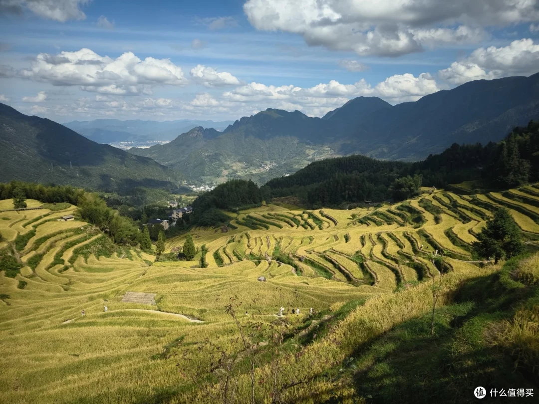 俯看整片梯田，稻浪之间散落着远处的村庄和群山