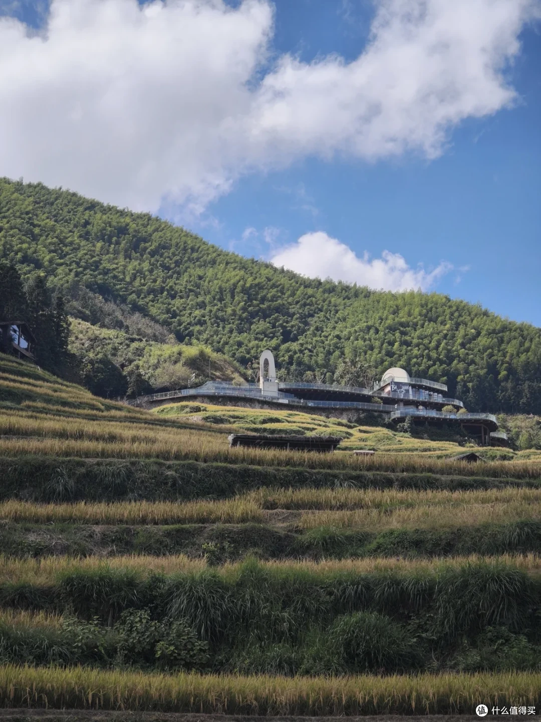 梯田顶端的现代观景建筑，白色曲面屋顶贴着山脊