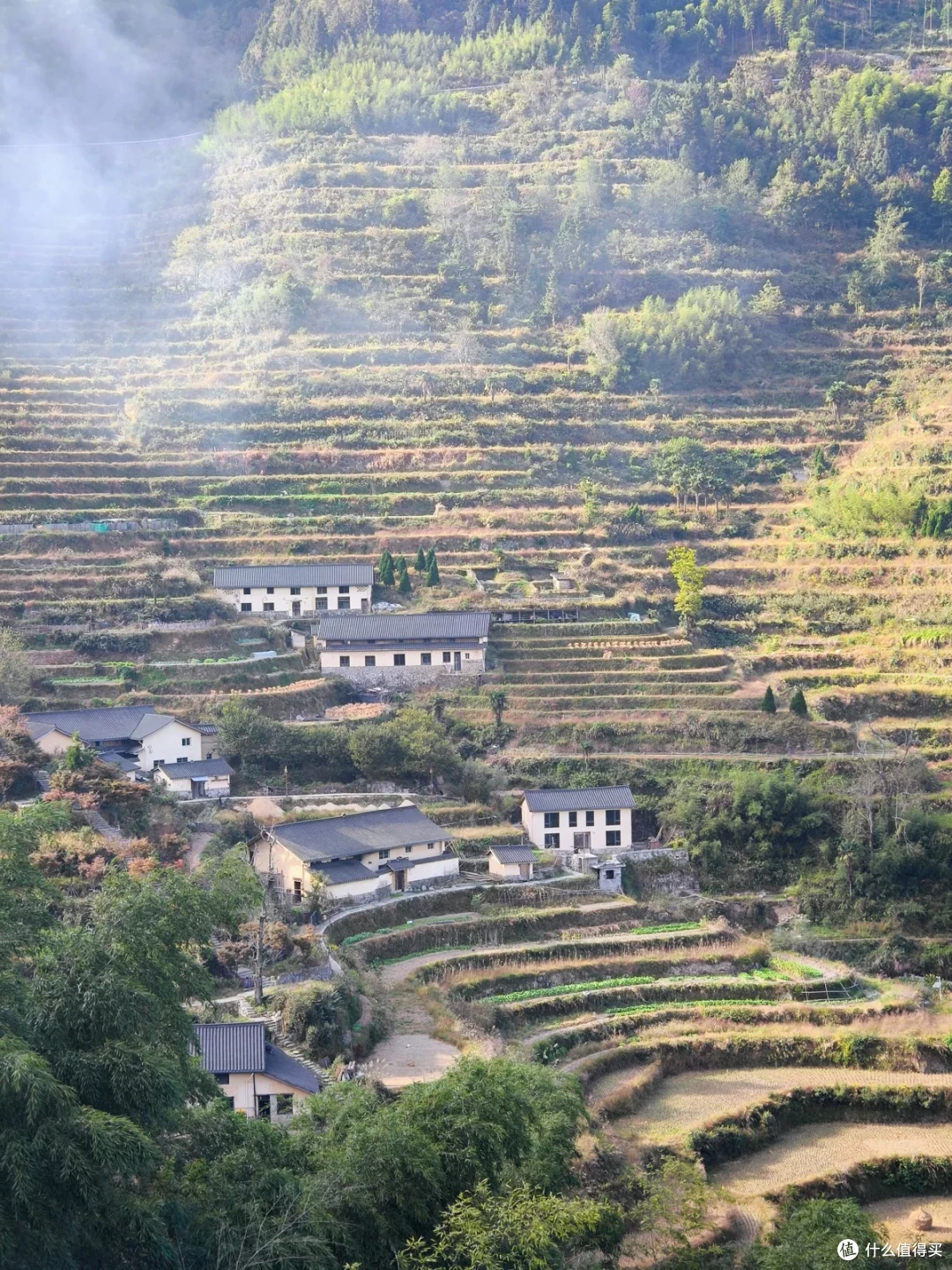 梯田环抱中的几幢白墙黑瓦民房，田间小路交错