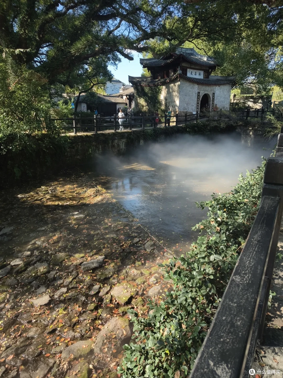 古樟下的小溪与石阶，溪水上有细流落下的白色水花