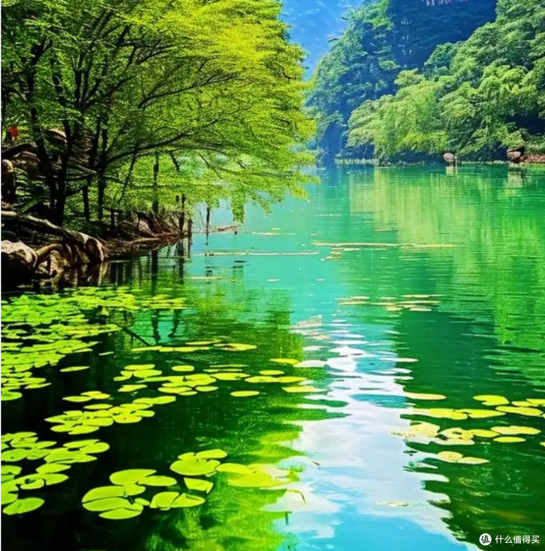 及时止损，是成年人最该学会的能力（清醒系·选择观）