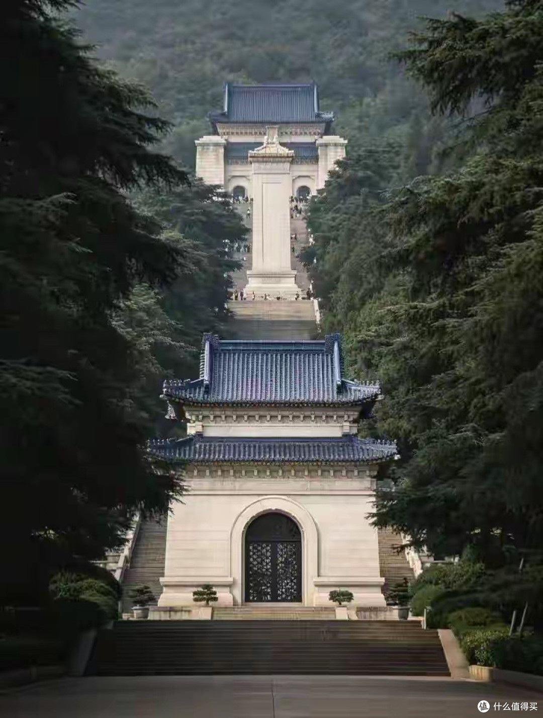 高含量鱼油的下一轮筛选:5款产品的结构与配方差异