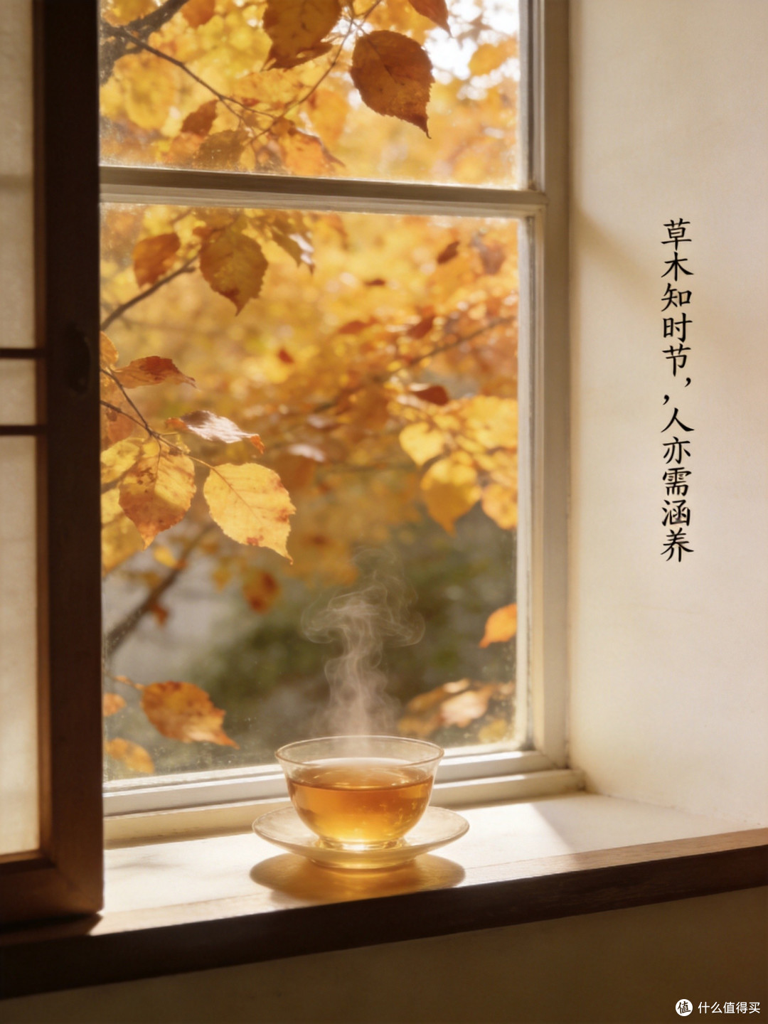 霜降｜顺应时节好好养自己，三件松弛小事，温柔蓄养身心