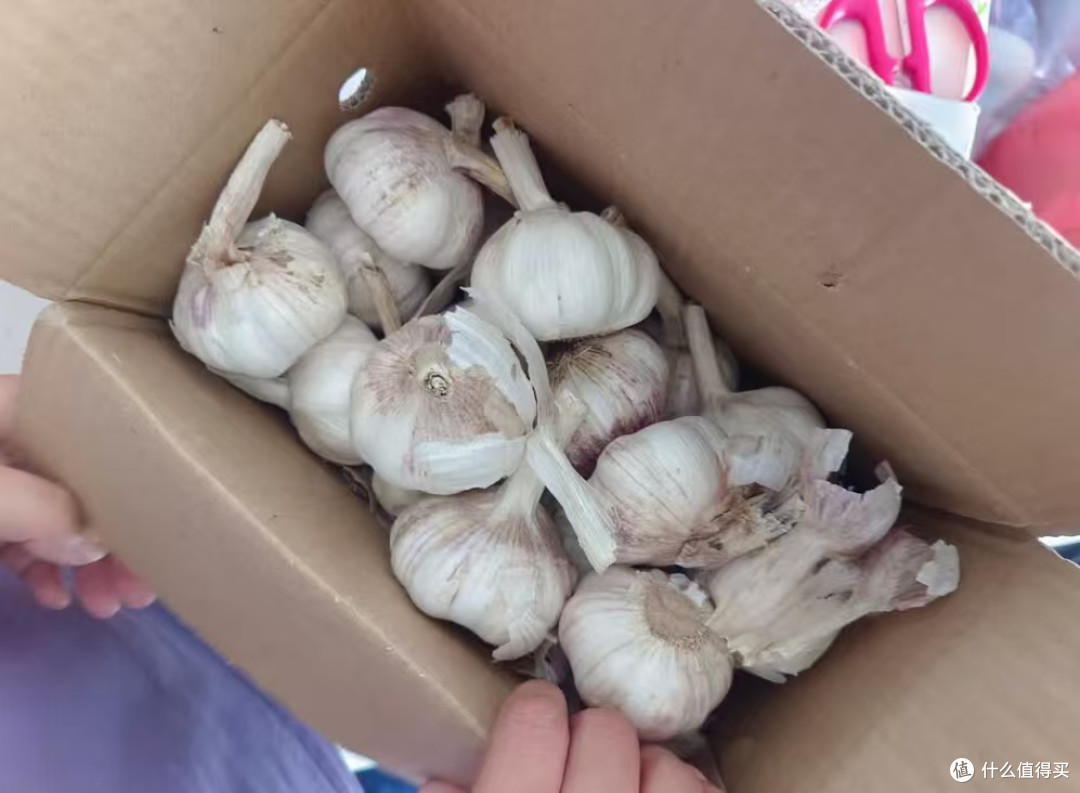 网购大蒜初体验