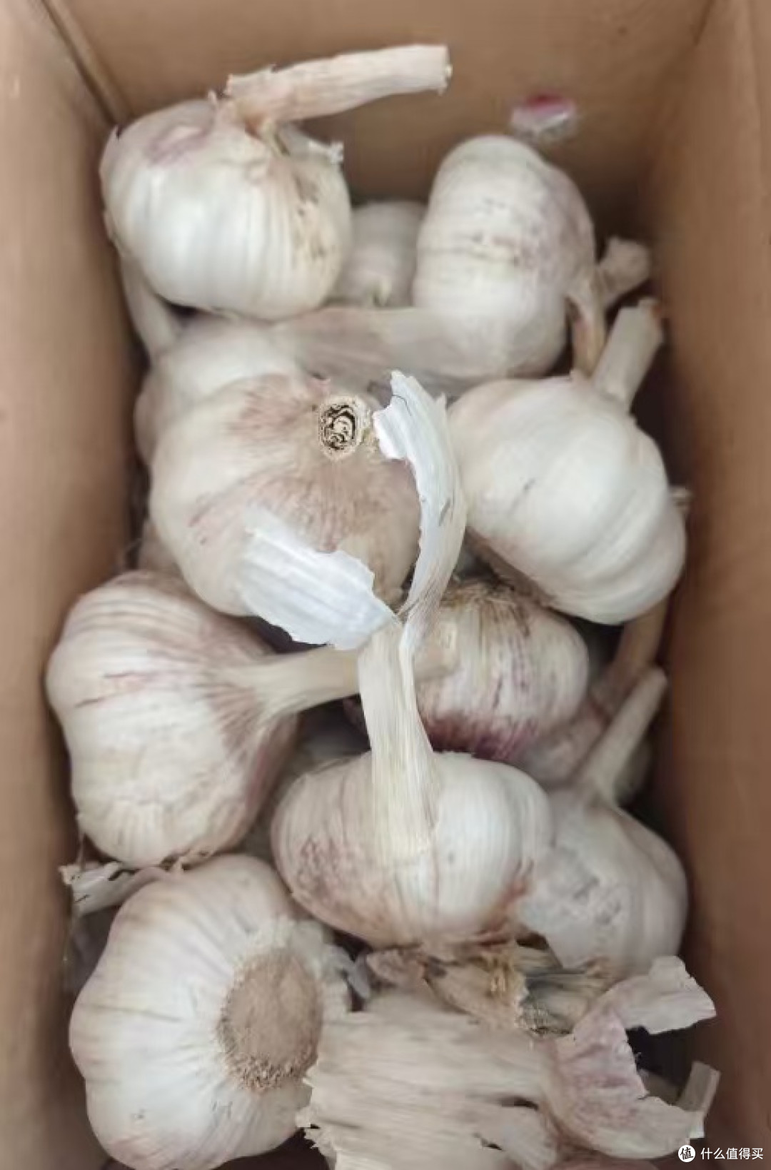 网购大蒜初体验