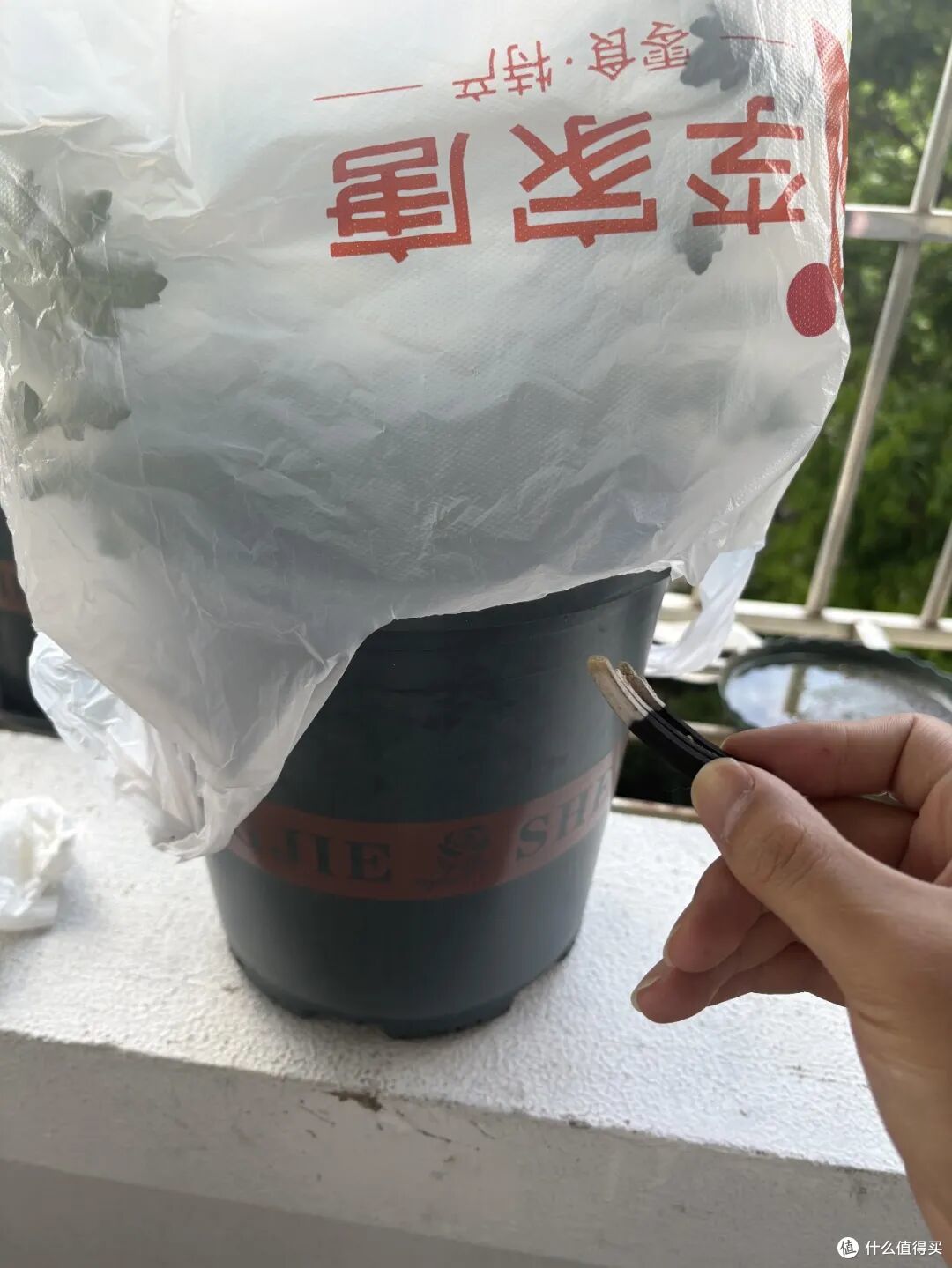 塑料袋,也有“邪修”用法?果然,没有一个袋子是白攒的!