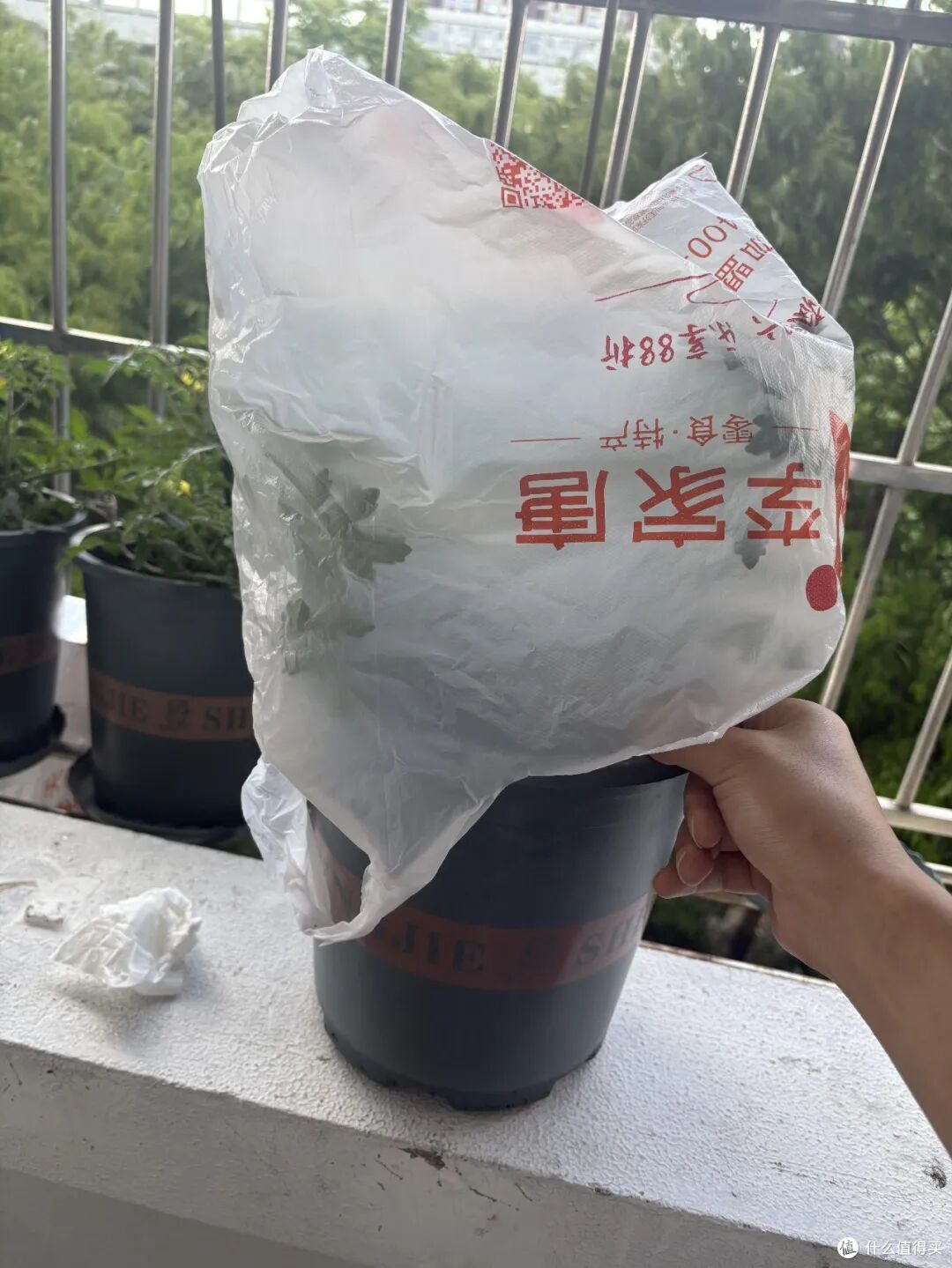 塑料袋,也有“邪修”用法?果然,没有一个袋子是白攒的!