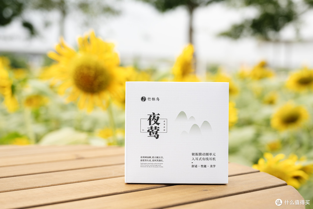 侧躺不硌耳,Type‑C 直出,竹林鸟夜莺 Z1 平价助眠有线耳机