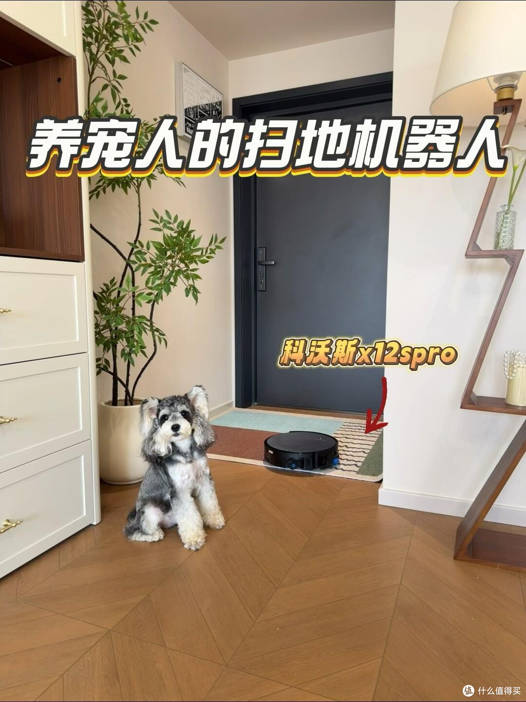 科沃斯X12s水箱版实测