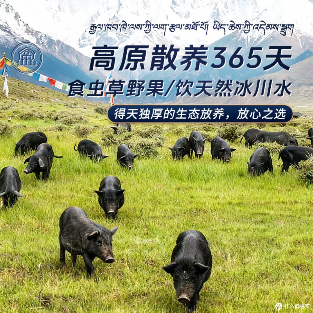 藏香猪五花肉,香到邻居来敲门!
