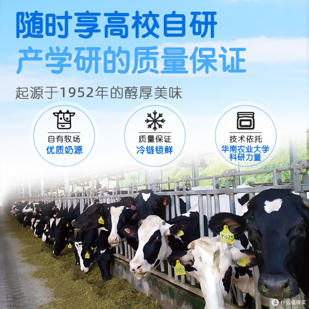华农 学士酸牛奶 简单说说