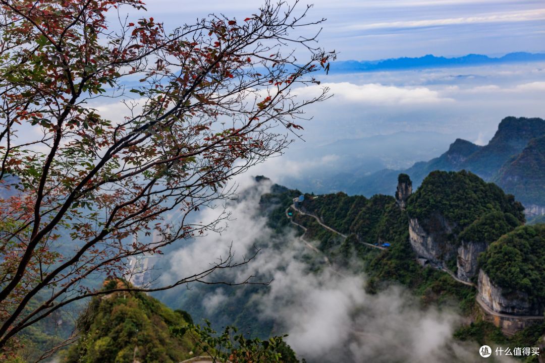 张家界武陵源—天门山:一块5A牌子,两座互不相干的山