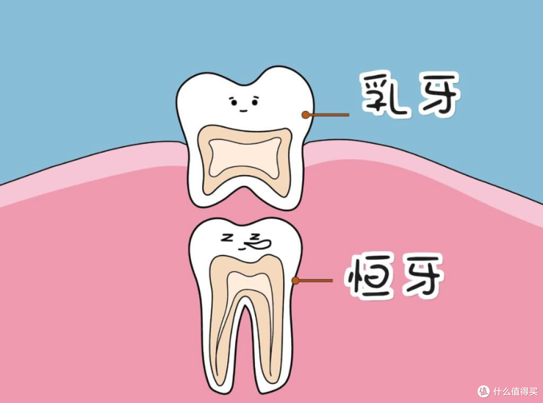 儿童蛀牙，到底该等还是该补？别被乳牙会换骗了！