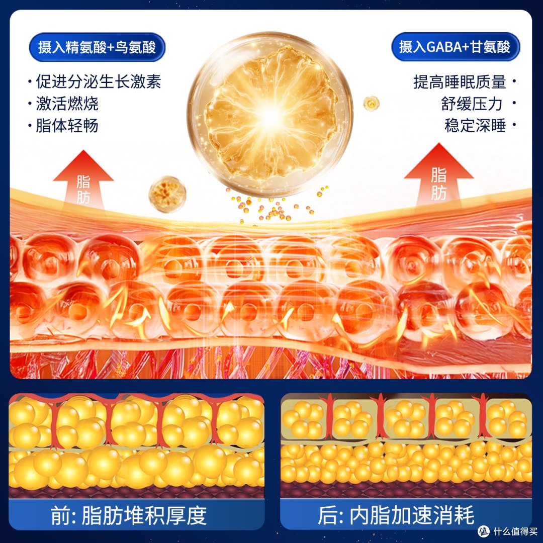 新谷酵素睡眠版,清肠排宿便 GABA 夜间活性日本酵素助眠舒缓